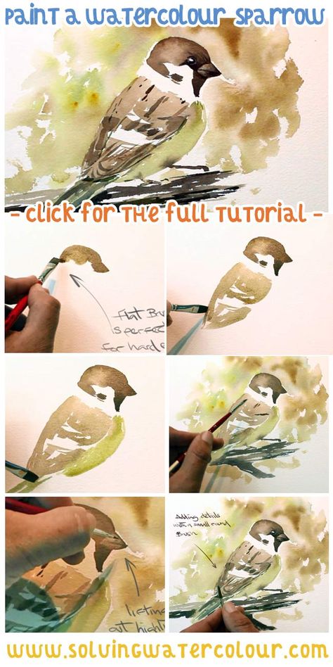 Watercolor Birds Paintings Simple, How To Paint Birds In Watercolor, Watercolor Birds Tutorial Step By Step How To Paint, Watercolor Sparrow, Birds Sparrow, Watercolor Birds Tutorial, Bird Painting Diy, Watercolour Birds, Loose Watercolour