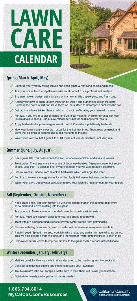 Keeping up with lawn care is a year-round job, but the results are definitely worth it. Follow our lawn care calendar for an easy way to create a healthy and beautiful lawn all year long Lawn Care Services, Yard Maintenance Schedule, Lawn Tips And Tricks, Lawn Care Advertising Ideas, Yard Care For Beginners, Lawn Business Ideas, Spring Lawn Care For Beginners, Lawn Design Ideas, Lawn Maintenance Schedule