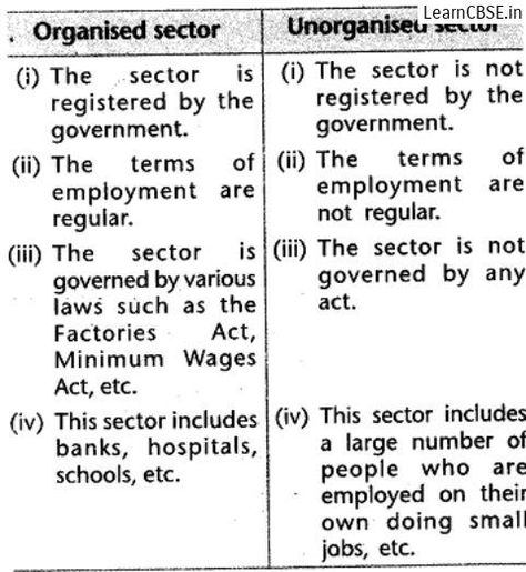 Sectors Of Indian Economy Class 10, Class 10 Cbse Notes Social Science, How To Study Sst Class 10, Indian Economy Notes, Class 10 Sst Notes, Economics Notes, Biology Diagrams, Cbse Class 10, Notes Life