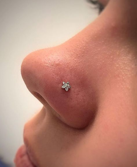 Peircings to get Peircings Women, Nose Piercing Aesthetic, Septum Piercing Men, Bvla Jewelry, Piercing Men, Body Vision Los Angeles, Nostril Piercing, Nose Piercings, Piercing Ideas