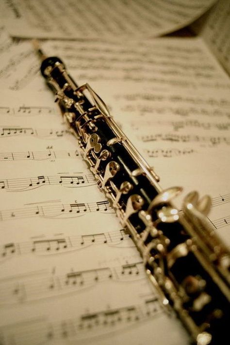 Oboe Music, Benfica Wallpaper, Band Nerd, Woodwind Instruments, Music Appreciation, Band Geek, Clubbing Aesthetic, Oboe, Music Aesthetic