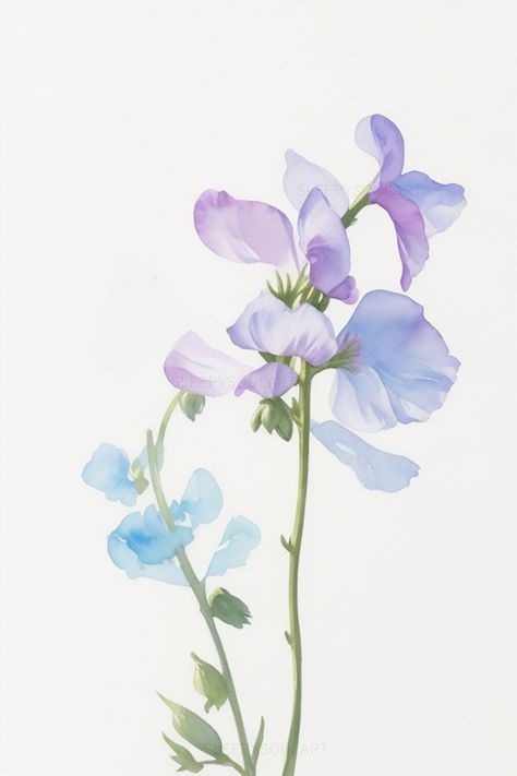 Sweet Pea Artwork, Sweet Pea Flowers Watercolor, April Birth Flower Tattoo Sweet Peas, Sweet Pea Flowers Aesthetic, Sweet Pea Birth Flower, Family Bouquet Tattoo, Sweet Pea Watercolor, Mom Memorial Tattoo, Daisy And Sweet Pea