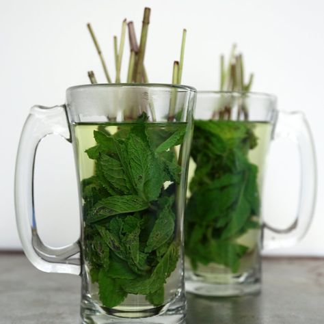 23 Tea Hacks That Will Change Your Life Mint Tea Recipe, Fresh Mint Tea, Cucumber Detox Water, Mint Water, Lemon Cucumber, Sport Food, Fat Loss Foods, Mint Tea, Peppermint Tea