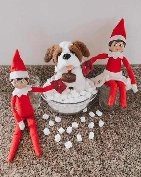 Elf On Shelf Pet Ideas, Elf On The Shelf Pet Ideas, Reindeer Pet, Elf Ideas Easy, Elf Games, Elf Pets, December Activities, Christmas Ideas Gifts, Elf Magic