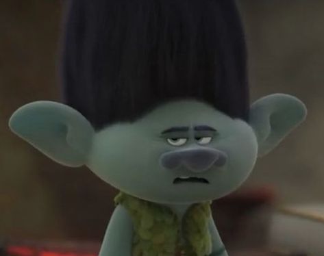 Dreamworks Characters, Branch Trolls, Trolls World Tour, Poppy And Branch, Trolls Movie, Got Memes, Dreamworks Trolls, Fantasy Story, No Filter