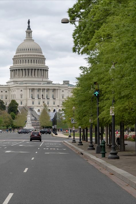 Social Distancing Drive into Washington D.C. #socialdistancing #saturdaynight #washingtonDC #emptystreets #photography #uscapitol Downtown Washington Dc, Dc Living, Design Home Ideas Decorating, Georgetown Dc, Washington Dc Christmas, Stop Romanticizing, Dc Winter, Dc Christmas, Washington Dc Photography