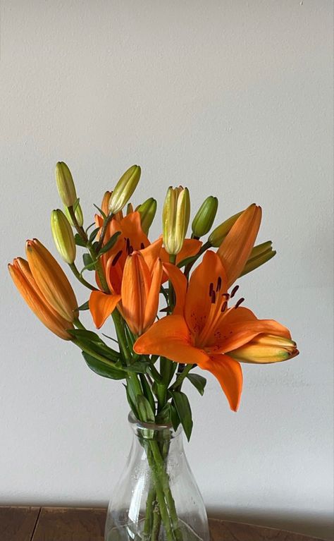 Lillies Drawings, Tiger Lily Aesthetic, White Lily Flower Bouquet, Flower Vintage Aesthetic, Lily Flower Arrangements, Lily Flower Aesthetic, Lillies Aesthetic, Tiger Lily Bouquet, Lilly Plants