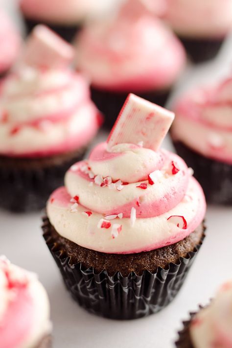 peppermint chocolate candy cane christmas cupcakes Candy Cane Cupcakes, Easy Christmas Cupcakes, Christmas Cupcakes Recipes, Delicious Cupcakes Recipes, Peppermint Chocolate, Mug Cakes, Christmas Cupcake, Holiday Cupcakes, Festive Desserts