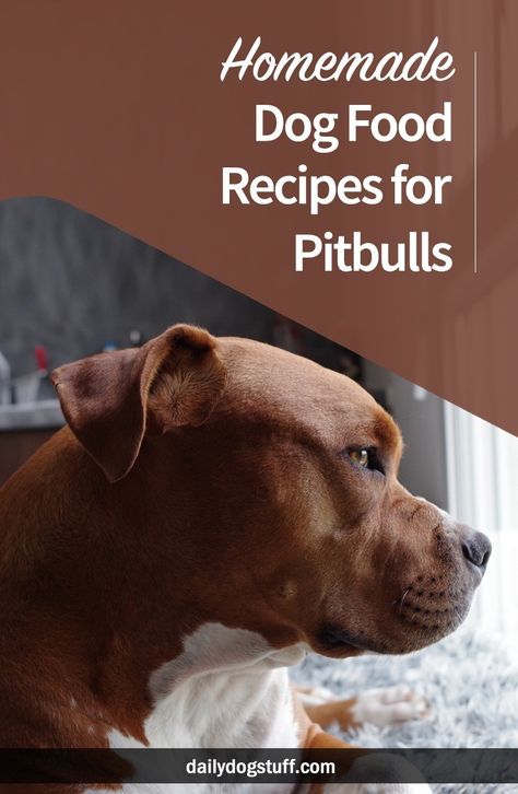 Pitbull Food, Diy Dog Food, Make Dog Food, Puppy Obedience Training, Dog Biscuit Recipes, Positive Dog Training, Easiest Dogs To Train, Basic Dog Training, Food Dog