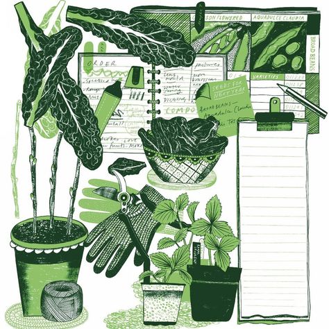 Kitchen Garden Illustration, Art Development, Broad Beans, Garden Illustration, Kitchen Garden, Diy Projects To Try, In November, Kale, Projects To Try