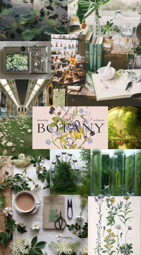 Botany Wallpaper Aesthetic, Environment Science Aesthetic, Botanical Mood Board, Science Core Outfit, Botany Aesthetic Wallpaper, Botany Student Aesthetic, Horticulturist Aesthetic, Horticulture Student Aesthetic, Agronomy Student Aesthetic