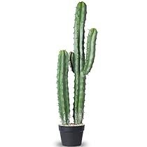 Plants For Home Garden, Cloud House, Artificial Cactus, Faux Cactus, Plants For Home, Office Store, Garden Office, Artificial Plants, Decoration Home