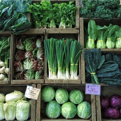 Green Market Farmers Market Veggies, Community Farmers Market, Farmers Market Vegetable Display, Farmers Market Vegetables, Market Garden Layout, Farmers Market Stand Ideas, Vegetables Display, Farmers Market Produce, Farm Market Ideas