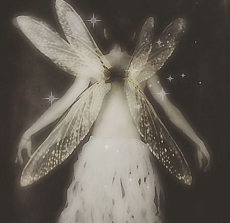 Fairy Aesthetic Dark, Tooth Fairy Costumes, Fairy Core Aesthetic, Fairy Grunge Aesthetic, Moon Fairy, Fairy Wallpaper, Manic Pixie Dream Girl, Fairycore Aesthetic, Fairy Queen