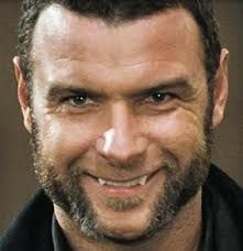 Liev Schreiber as Victor Creed Wolverine Pictures, Sabretooth Marvel, X Men Movie, Victor Creed, Xmen Movie, X Men Funny, Wolverine Movie, Ray Donovan, Liev Schreiber