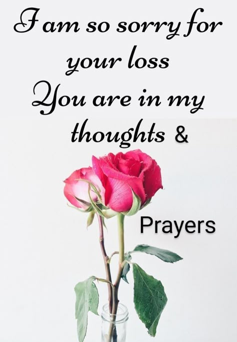 Sending My Deepest Condolences, Condolences On Your Loss, Condolences Messages For Loss Of Sister, Sorry For The Loss Of Your Mother, My Condolences To You And Your Family, Sorry For Your Loss Condolences, Deepest Condolences Messages, My Condolences For Your Loss, Sympathy Quotes Condolences