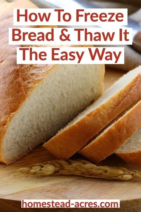 How To Make Bread Dough To Freeze, Keep Bread Fresh Longer, Best Way To Freeze Bread, How To Freeze Homemade Bread, How To Freeze Bread Dough, How To Keep Homemade Bread Fresh, How To Keep Bread Fresh Longer, Freezer Dough Recipes, Freezing Homemade Bread