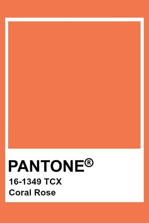 Pantone Colors Bright, Orange Color Pantone, Bright Pantone, Orange Colour Palette, Pantone Orange, Pantone Tcx, Pantone Colours, Pantone Color Chart, Pantone Swatches