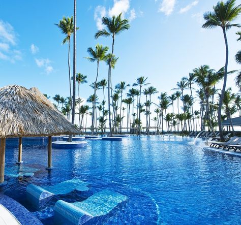 Palm trees & Lounging at that pool at Barcelo Bavaro Beach! Bavaro Beach Punta Cana, Cheapest All Inclusive Resorts, Majestic Colonial Punta Cana, Club Luxury, Punta Cana Resort, Punta Cana Dominican Republic, All Inclusive Vacations, Inclusive Resorts, All Inclusive Resorts