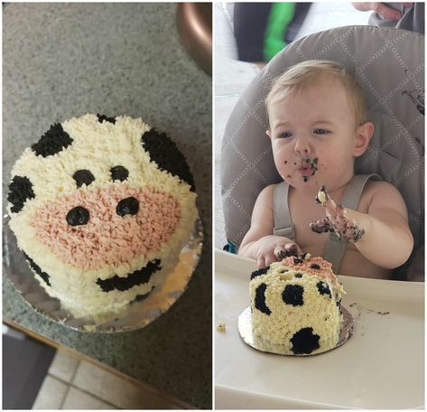 Farm 1st Birthday Cake Smash, Farm Themed Smash Cake First Birthdays, First Birthday Farm Smash Cake, Farm Animal First Birthday Party Smash Cakes, Cowboy Themed 1st Birthday Cake, Farm Animal Smash Cake First Birthdays, Smash Cake Cow Print, Holey Cow Im One Birthday, My First Rodeo Birthday Cake Smash