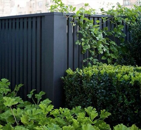 I LOVE this fence Contemporary Fence, Landscaping Modern, Fence Around Pool, Black Fence, Privacy Fence Designs, Front Fence, Dream Landscape, Fence Screening, Front Yard Fence