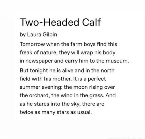 Twice As Many Stars, Laura Gilpin, Two Headed Calf, He Is Alive, Farm Boys, Moon Rising, Moon Rise, Classic Literature, Summer Evening