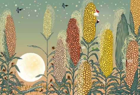 The month of September brings the arrival of the Full Corn Moon or Green Corn Moon, the time of year when harvesting of corn crops takes place. As the staple food of North America aboriginal people, the cultivation of corn (maize) has been refined over thousands of years. This time of year is a cel September Full Moon, Worm Moon, Corn Moon, Corn Maize, September Crafts, Selfie Wall, Moon Crafts, Night Sky Photography, Full Moon Ritual