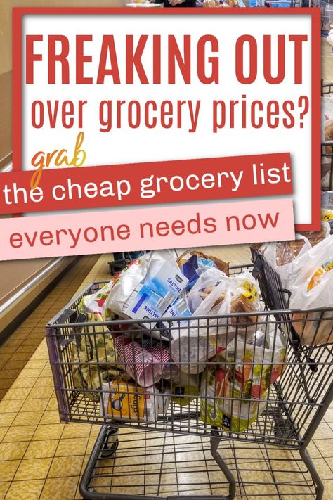 Budget Grocery List, Budget Grocery Shopping, Cheap Grocery List, Healthy Grocery Shopping, Cheap Meal Plans, Cheap Groceries, Grocery Planning, Cheap Easy Meals, Cheap Healthy