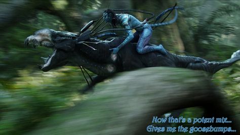 riding a beast Avatar Neytiri, Avatar Animals, Avatar James Cameron, Avatar Films, Avatar Fan Art, Pandora Avatar, Avatar Movie, Avatar Characters, Avatar World