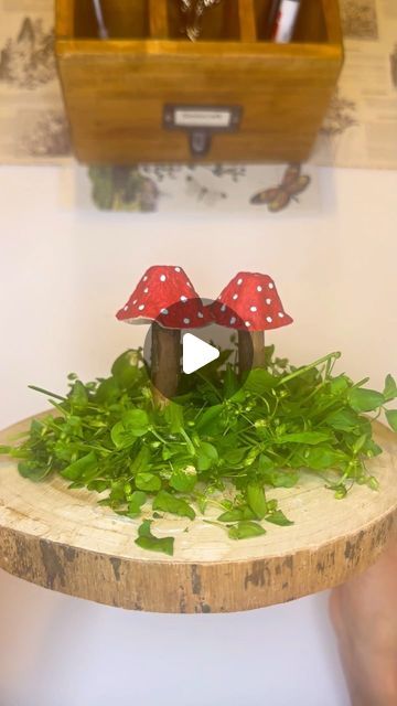 @simiscraft on Instagram: "Mushroom from egg carton.🍄  #craft #handmade #art #diy #crafts #design #crafting  #artist #handcrafted#creative #handmadewithlove #smallbusiness #crafty #papercraft #homemade #giftideas #decor #basteln #kindergarten #eggcartoncraft #eggcarton#viralreels #viral #viralvideos #montessori" Egg Carton Mushrooms, Egg Carton Craft, Carton Craft, Egg Carton Crafts, Busy Toddler, Craft Handmade, Egg Carton, Handmade Art, Art Diy