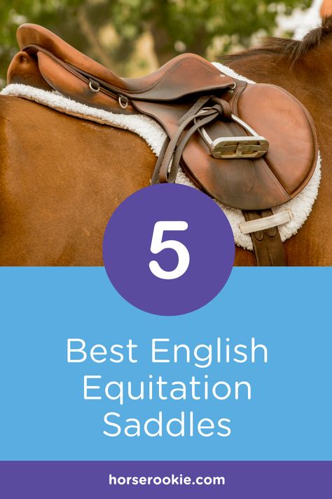 Horse Riding Gear, Horse Gear, English Saddle, Horse Saddles, Riding Gear, Best Of The Best, Be The Best, Horse Riding, Perfect Match