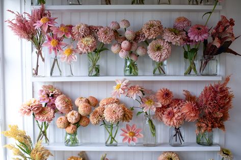 Floret Originals: Your Questions Answered - Floret Flowers Planting Poppies, Growing Tulips, Flower Shop Design, Plant Bud, Growing Dahlias, Flower Picks, Tulip Bulbs, Flower Farmer, Cut Flower Garden