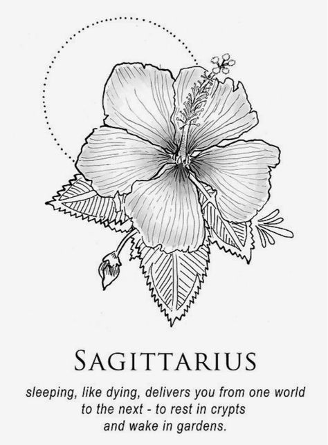 Sagittarius Tattoo Designs, Sagittarius Art, Sagittarius Tattoo, Sagittarius Astrology, Sagittarius Quotes, Constellation Tattoos, Sagittarius Facts, Iphone Aesthetic, Zodiac Art