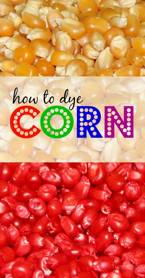 How to Dye Corn Kernels from Fun-A-Day Colored Popcorn, Sensory Tubs, Sensory Tub, Godly Play, Popcorn Kernels, Baby Activities, Sensory Boxes, Sensory Bottles, Sensory Table