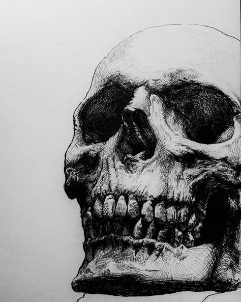 Detailed Skeleton Drawing, Skull Art Study, Anime Ink Art, Skull Ink Drawing, Sculls Art, Skull Face Drawing, Skull Shading, Skull Drawing Ideas, Skeleton Art Drawing