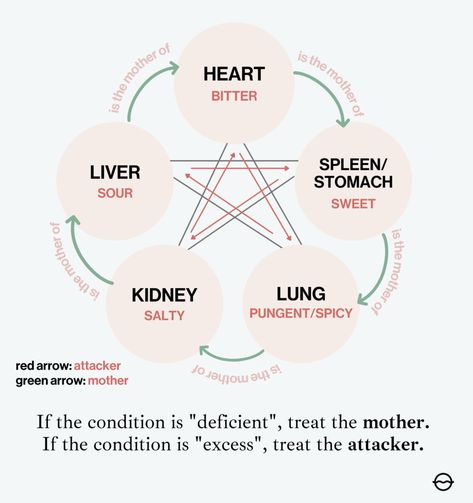 What Are Shen Tonics? Herbs That Settle a Lost Spirit + Restless Heart - Organic Olivia » Organic Olivia Qi Stagnation, Liver Herbs, Organic Olivia, Restless Heart, Healthy Period, Chinese Herbal Medicine, Mothers Heart, Organ System, Healthy Blood Pressure