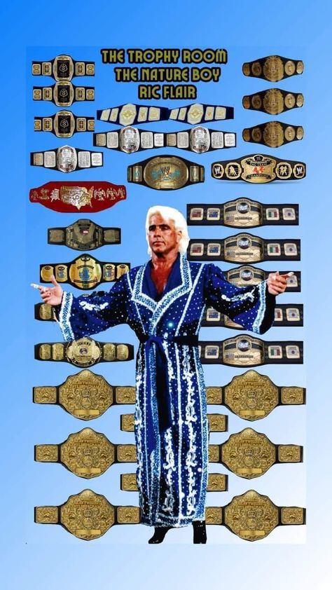 Nwa Wrestling, Wwe Championship Belts, Wrestling Belts, Japanese Wrestling, Wwe Art, Undertaker Wwe, Nfl Championships, American Football League, The Four Horsemen