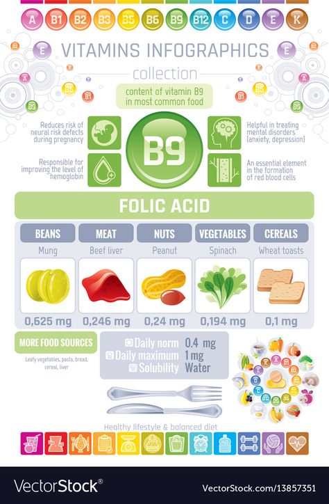 Diet Infographic, Iron Mineral, Infographic Diagram, Mineral Supplements, Table Vector, Rich Food, Vitamin B9, Illustration Human, Healing Waters