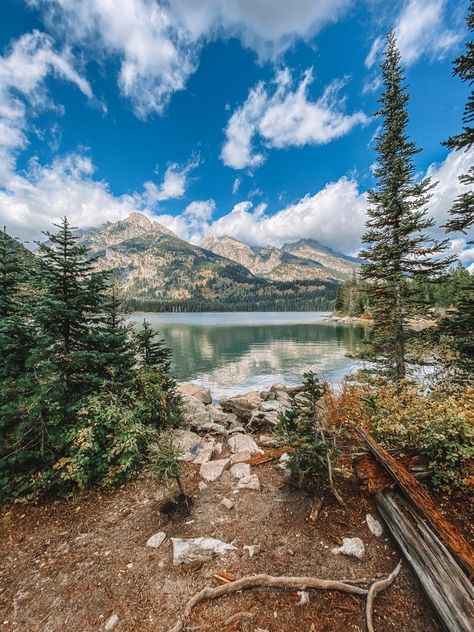 A guide to the best Grand Teton hikes, including Delta Lake, Jenny Lake, Taggart Lake and more! What to pack for hiking in Grand Teton National Park | Grand teton itinerary | things to do in Grand Tetons #GrandTeton #RoadTrip #USRoadTrip Taggart Lake, Delta Lake, Hiking Safety, Solo Hiking, Jenny Lake, Woman Tips, Wyoming Travel, Women Hiking, Women Ideas