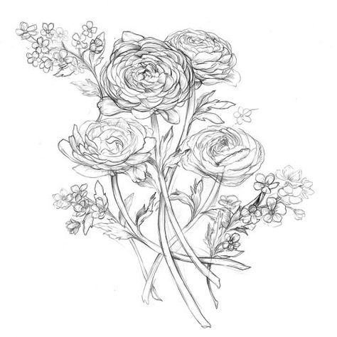 Ranunculus Drawing, Ranunculus Tattoo, Pols Tattoo, Tattoo Black And White, Flowers Tattoo, Flower Sketches, Tattoo Black, Tattoo Cover, Cover Up Tattoo