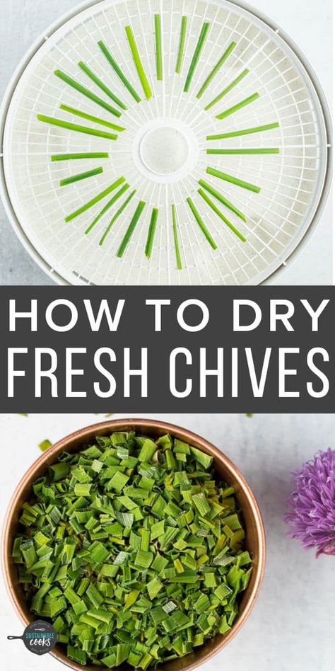 Drying Chives is such a simple way to preserve this delicious pantry staple! Learn how to dry chives in a food dehydrator or in the oven. Drying Chives, Freezing Onions, Pub Cheese, Greek Yogurt Eggs, Growing Chives, Dehydrating Food Storage, Preserving Herbs, Preserving Recipes, Dehydrating Food