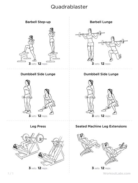 Quads-focused leg workout Lower Body Workout Routine, Gym Routines, Weight Workouts, Lifetime Fitness, Protein Food, Quad Exercises, Leg Day Workouts, Printable Workouts, Circuit Workout