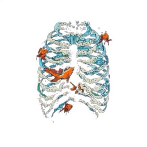 Ribcage with goldfish art Goldfish Art, Skeleton Art, Rib Cage, Goldfish, Skeleton, Random Stuff, Animals, Art