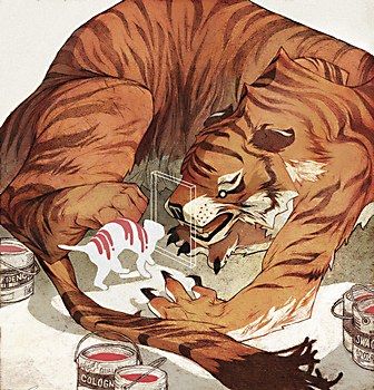 Sachin Teng, Art Tigre, Comics Illustration, Tiger Art, Arte Inspo, Art Et Illustration, A Tiger, Arte Animal, Art And Illustration