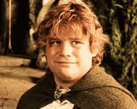 Lotr Sad GIF - Tenor GIF Keyboard - Bring Personality To Your Conversations | Say more with Tenor Sam Lord Of The Rings, Merry And Pippin, Lotr Cast, Samwise Gamgee, Tenor Gif, Middle Earth Art, Frodo Baggins, Character Role, Fellowship Of The Ring