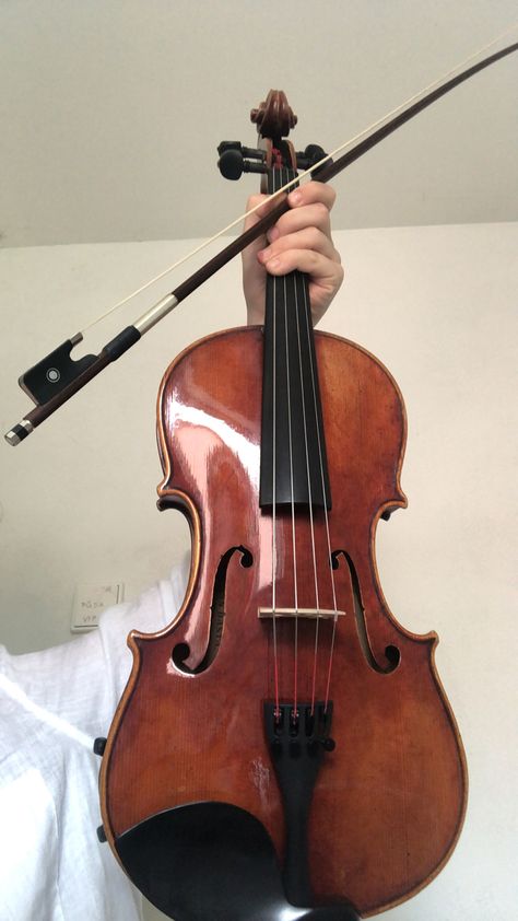 Viola Instrument Aesthetic, Viola Aesthetic Instrument, Viola Orchestra, Violin Decoration, Violin Aesthetic, Nom Noms Toys, Viola Instrument, Violin Practice, Violin Instrument