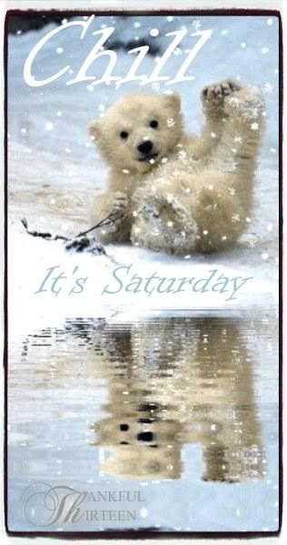 Chilling on Saturday! ❤️ Saturday Pictures, Saturday Greetings, Reflection Pictures, Monday's Child, Saturday Quotes, Good Morning Saturday, Beautiful Morning Quotes, It's Saturday, Weekend Quotes