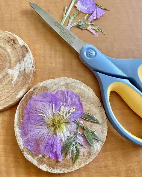 whattodowithpressedflowers Herb Crafts, Press Flowers, Pressing Flowers, Decoupage Plates, Flower Projects, Flower Coasters, Pressed Flower Crafts, Camp Crafts, Earth Pigments