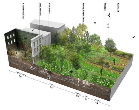 Chunk 01 Primary Succession, Community Farming, Secondary Succession, Ecosystem Services, Urban Project, Urban Regeneration, Architect Jobs, Streetscape Design, Urban Design Concept