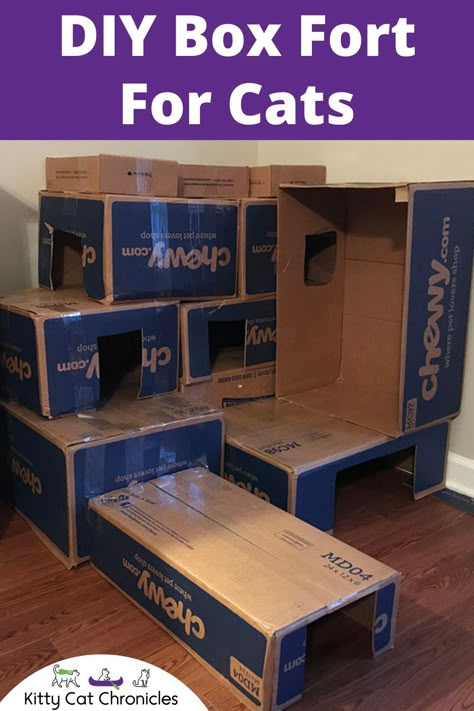 Cat Forts Cardboard Boxes, Cardboard Cat Castle, Cardboard Box Fort, Cat Fort, Cat House Diy Cardboard, Box Fort, Cat Diy Crafts, Cardboard Cat House, Cat Castle